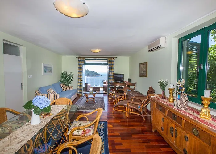 Ambassador